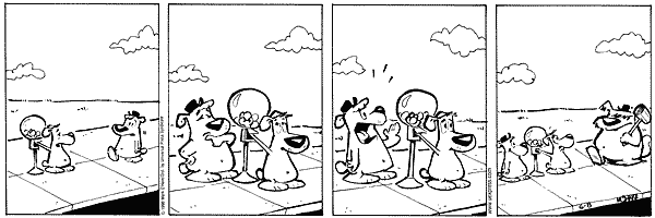citizendog